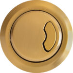 Kayla Dual Flush Button-Brushed Brass