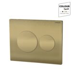 Lunar Dual Flush Control Plate - Brushed Brass